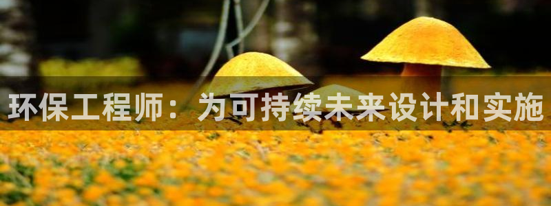 彩名堂5.0版计划怎么用不了：环保工程师：为可持续未来设计和实施