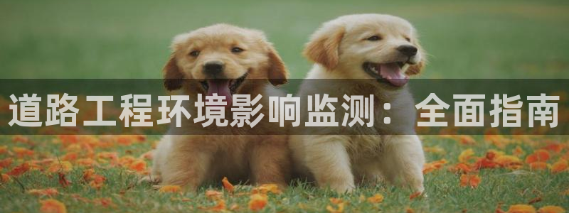 彩名堂5.0计划：道路工程环境影响监