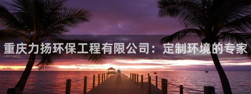 彩名堂苹果客户端怎么下载：重庆力扬环