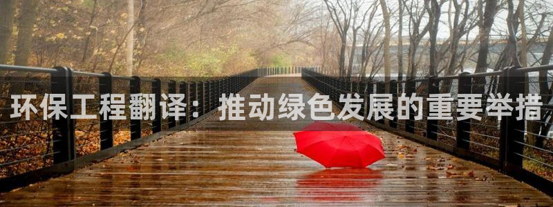 彩名堂还可以用吗：环保工程翻译：推动