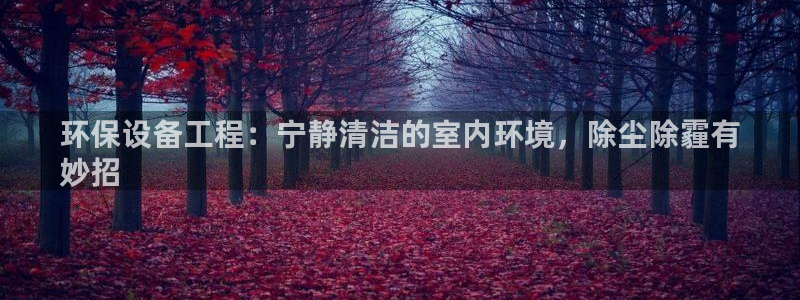 彩名堂975新版本：环保设备工程：宁