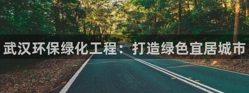 彩名堂改成什么名字了：武汉环保绿化工程：打造绿色宜居城市