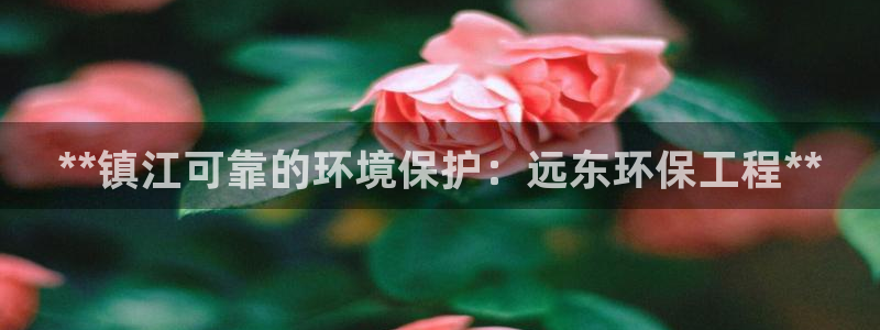 彩名堂.apk：**镇江可靠的环境保