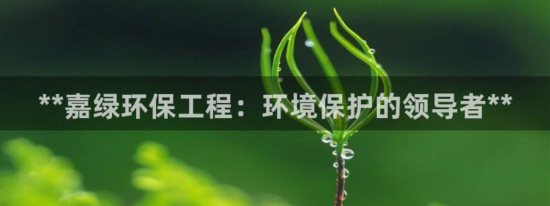 彩名堂计划软件下载：**嘉绿环保工程