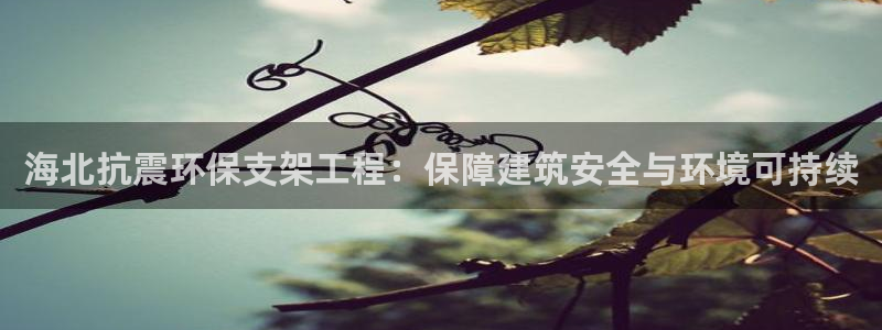 彩名堂app官网：海北抗震环保支架工
