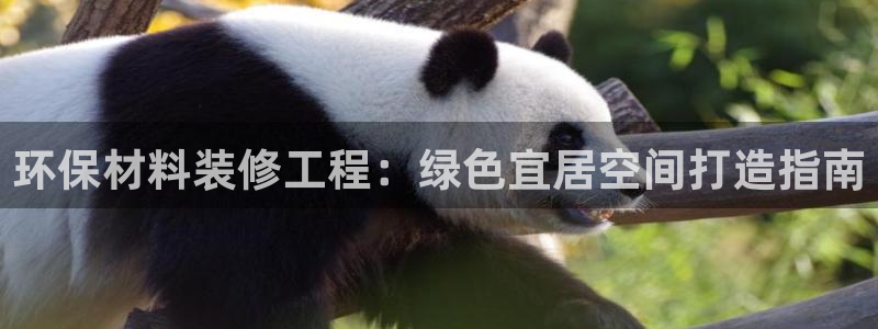 彩名堂上推荐的几个平台怎样：环保材料