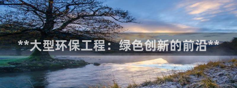 彩名堂怎么用不了了：**大型环保工程