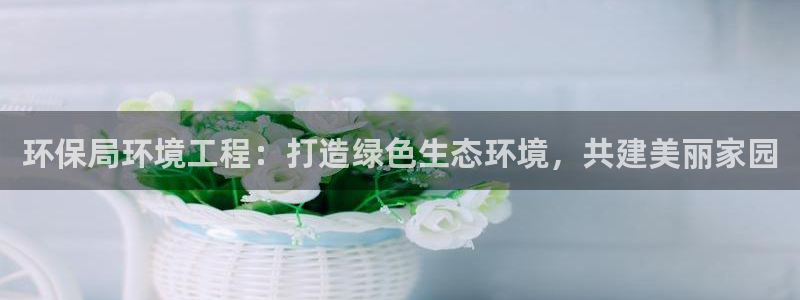 彩名堂好用还是千里马好用一点：环保局