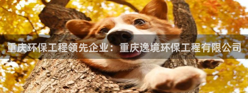 彩名堂为什么用不了了：重庆环保工程领