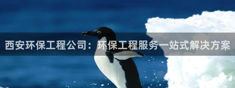 彩名堂50版本计划：西安环保工程公司
