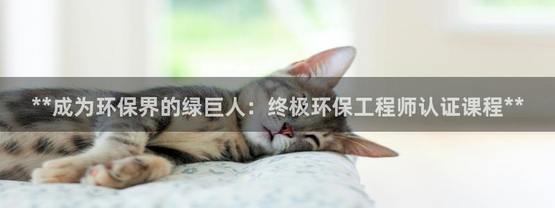 彩名堂用不了