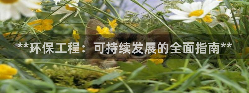 彩名堂官网在线计划怎么不更新了：**