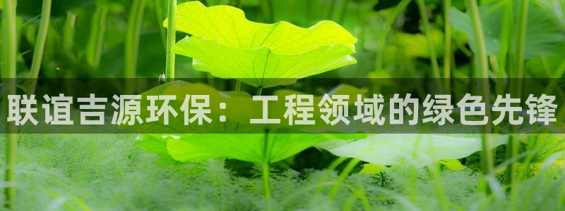 彩名堂免费计划5.0使用方法是什么：