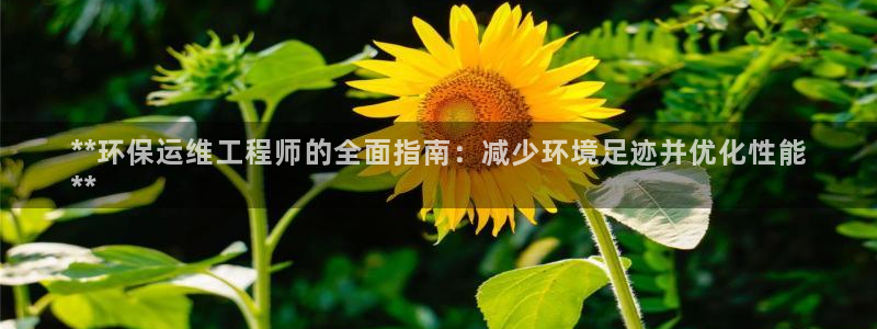 彩名堂跟哪种最好用：**环保运维工程