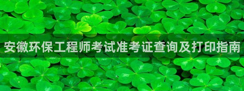 彩名堂官网计划怎么下载：安徽环保工程师考试准考证查询及打印指
