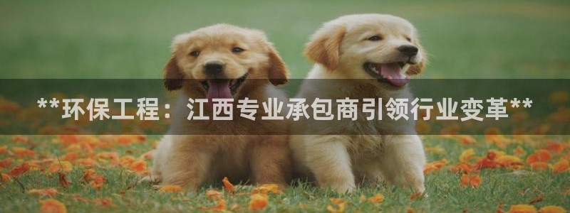 老版彩名堂：**环保工程：江西专业承包商引领行业变革**