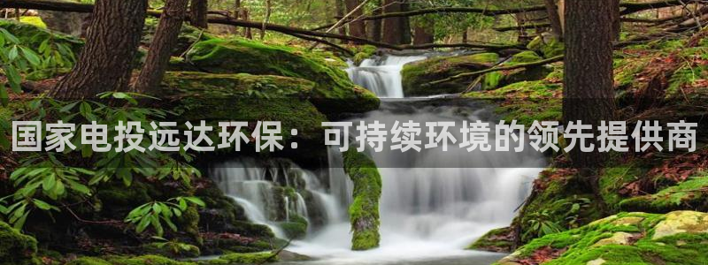 彩名堂怎么跟计划才不连挂呢：国家电投远达环保：可持续环境的领