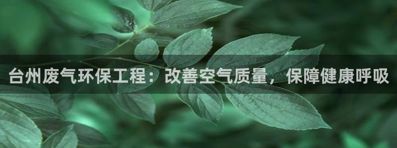 彩名堂预测免费计划怎么看的：台州废气环保工程：改善空气质量，