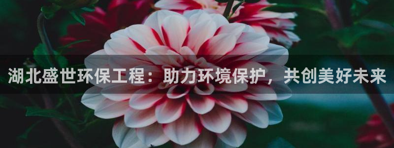 彩名堂官网：湖北盛世环保工程：助力环